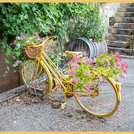 La Halte Du Vigneron I T2 I * Vongnes